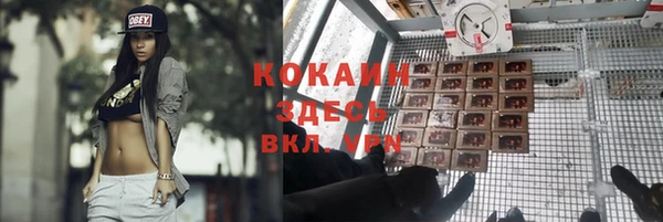 мдпв Бугульма
