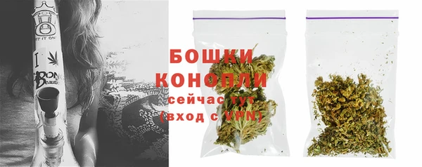 мдпв Бугульма