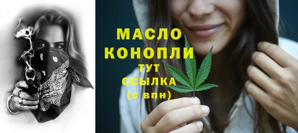 дживик Бронницы