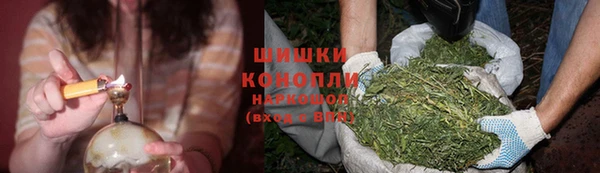 дживик Бронницы