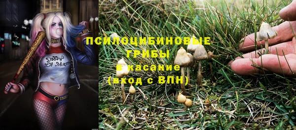 мдпв Бугульма