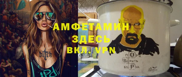 дживик Бронницы