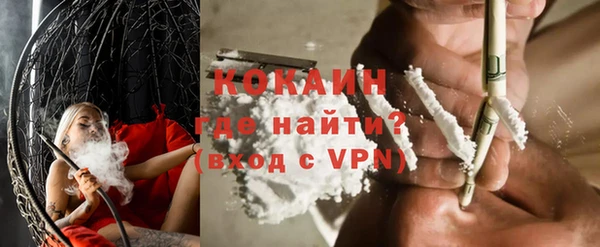 дживик Бронницы